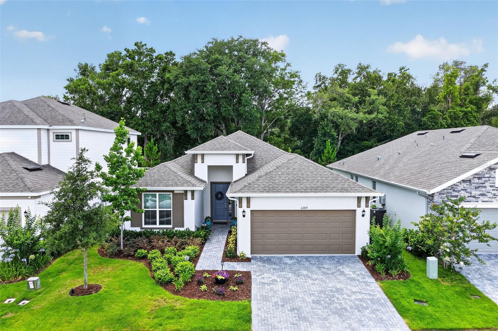 2289 Sirena Ln, Mount Dora, FL 32757 photo