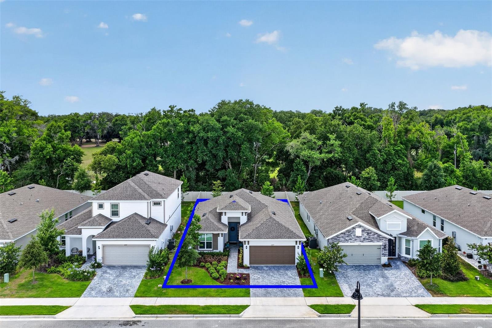 2289 Sirena Ln, Mount Dora, FL 32757 photo