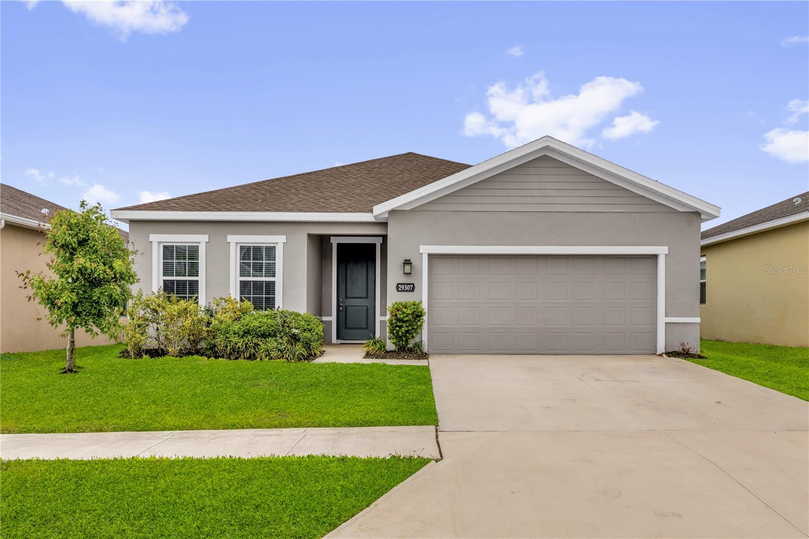 29307 Meadowcroft Ave, Wesley Chapel, FL 33544