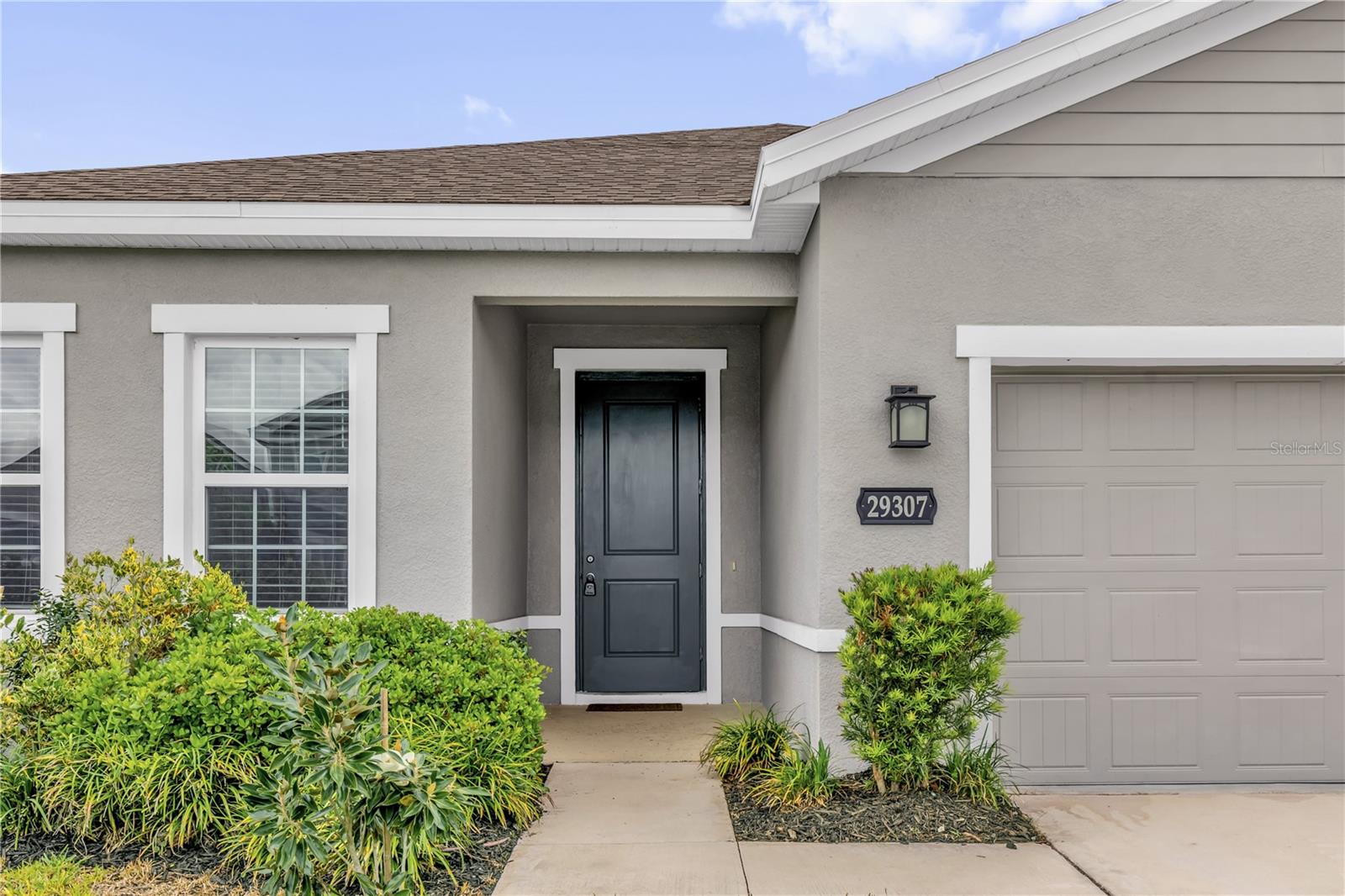 29307 Meadowcroft Ave, Wesley Chapel, FL 33544 photo
