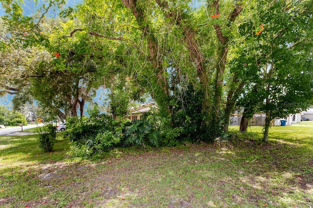 1042 Tryon Cir, Spring Hill, FL 34606 photo
