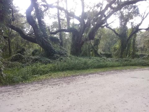  in DADE CITY FL 3213 TIGER STREET.jpg