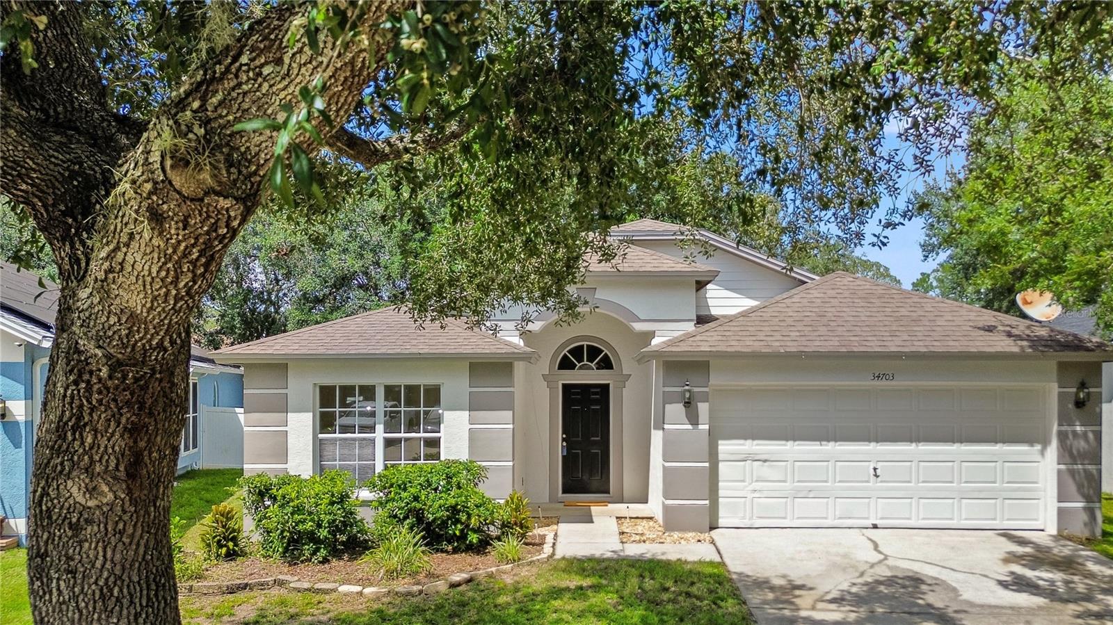34703 Birchmont Ln, Zephyrhills, FL 33541 photo