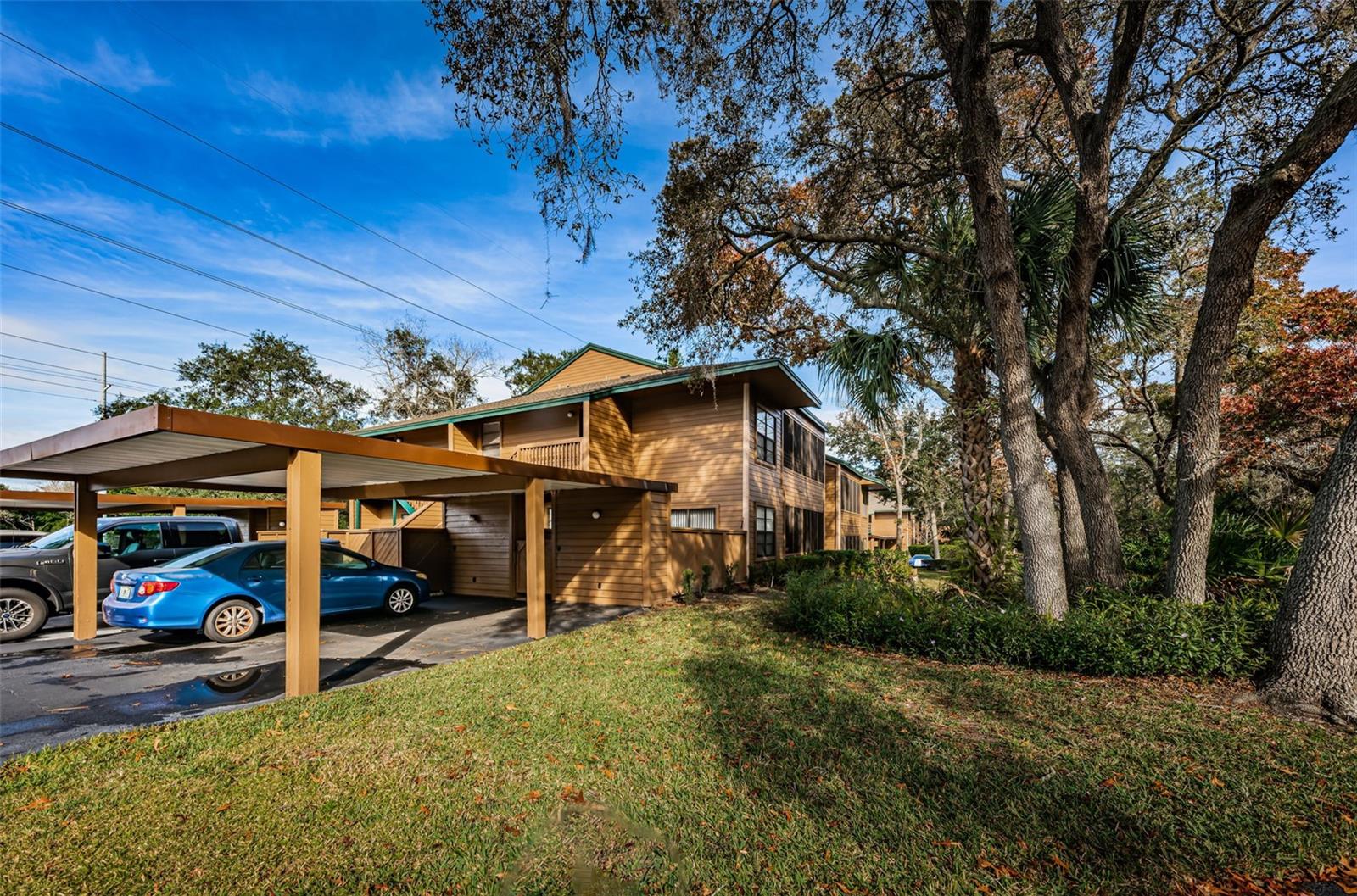 802 Lennox Rd #802, Palm Harbor, FL 34683 photo