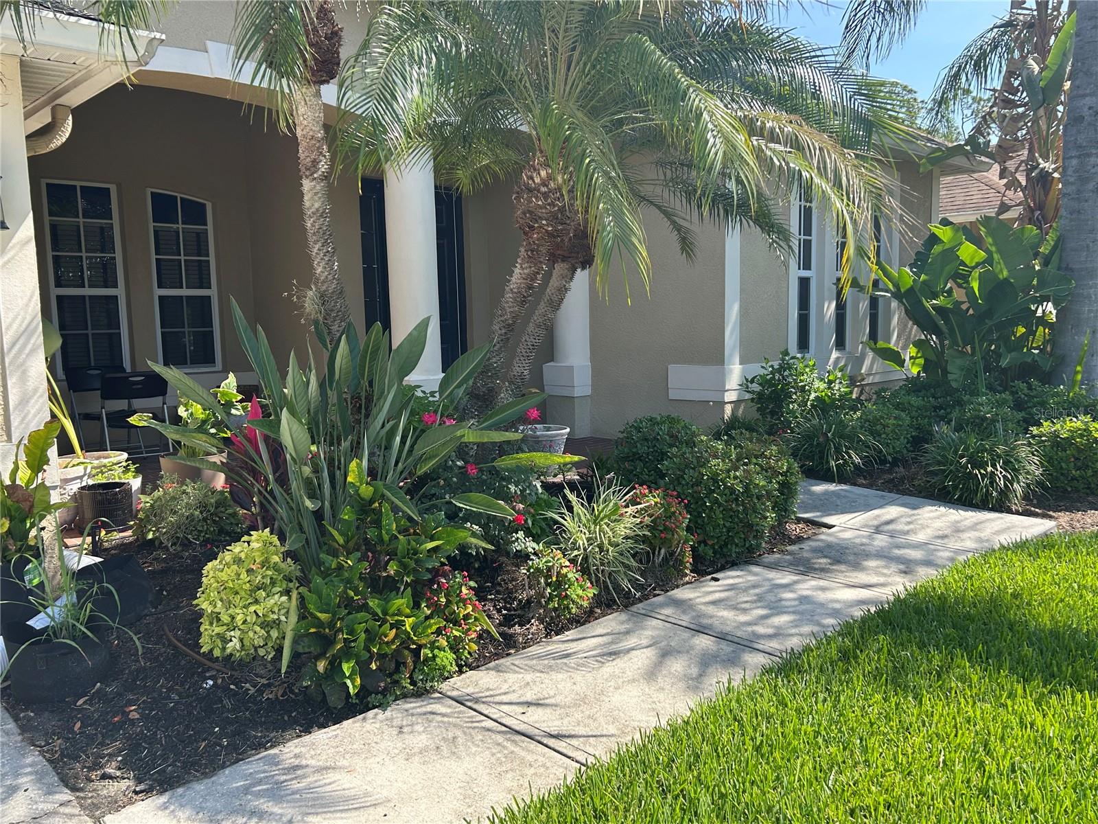 26612 Shoregrass Dr, Wesley Chapel, FL 33544 photo