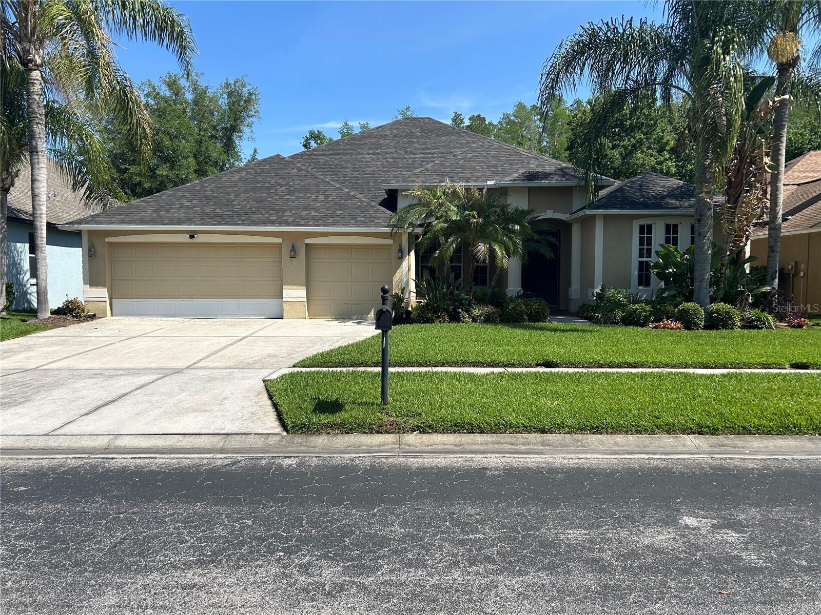 26612 Shoregrass Dr, Wesley Chapel, FL 33544 photo