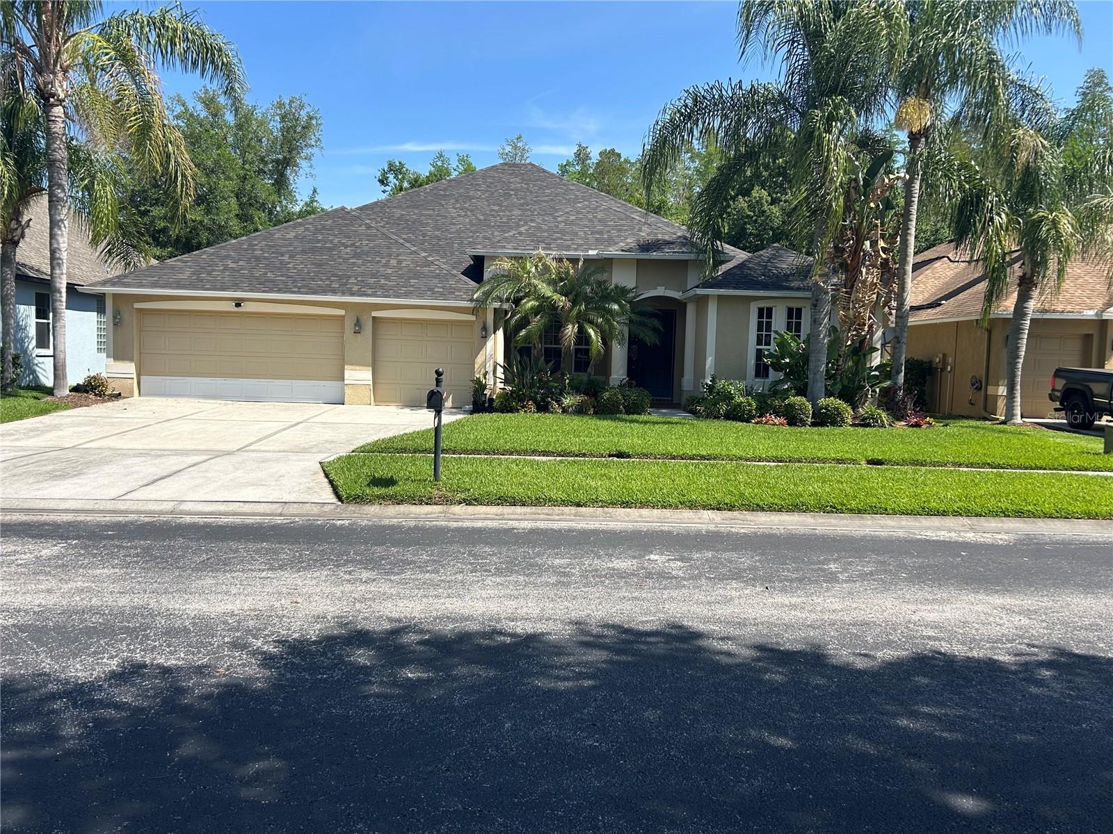 26612 Shoregrass Dr, Wesley Chapel, FL 33544 photo