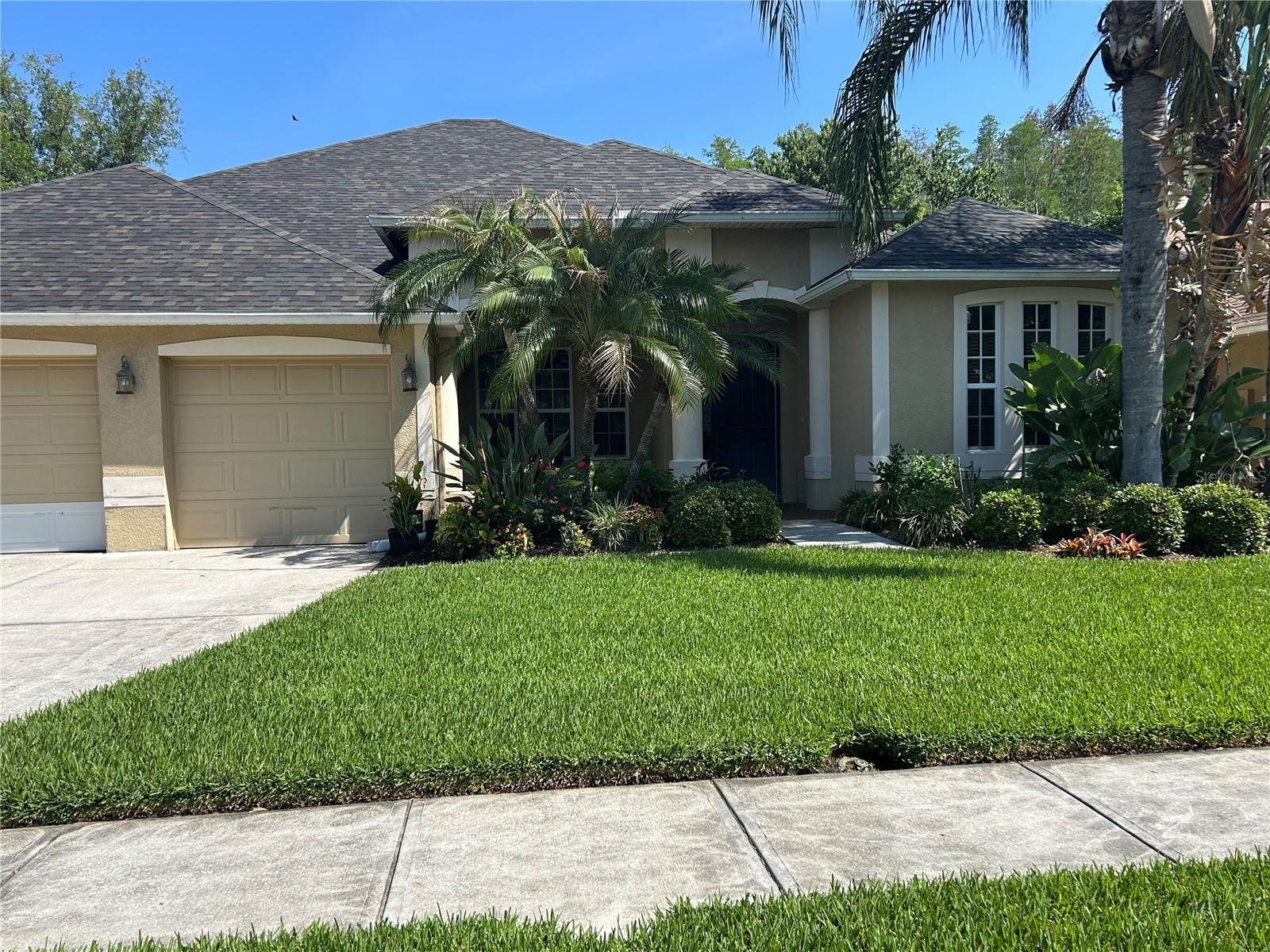 26612 Shoregrass Dr, Wesley Chapel, FL 33544