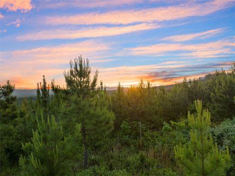 Unimproved Land in Broken Bow OK 393 Overcup Oak Trail.jpg
