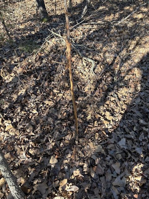 Unimproved Land in Luther OK E 935 Road.jpg