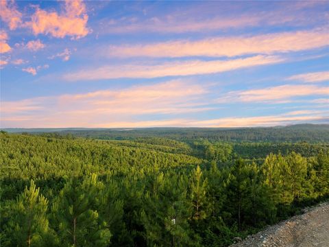 Unimproved Land in Broken Bow OK 335 Monterey Oak Trail.jpg