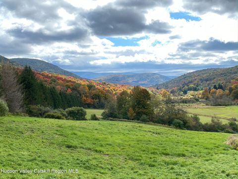 Unimproved Land in Denver NY Tbd Dimmick Mountain Rd. Road.jpg
