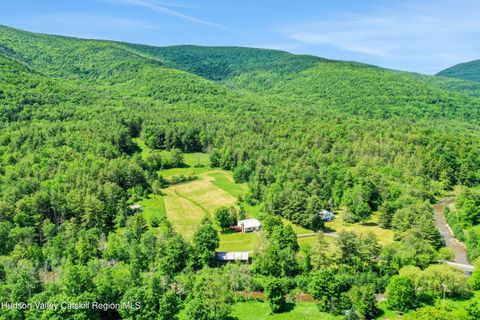 Single Family Residence in West Kill NY 21 Long Road.jpg