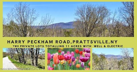 Unimproved Land in Prattsville NY 167 Harry Peckham Road.jpg