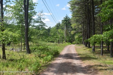 Unimproved Land in Cairo NY Tbd Anthony.jpg