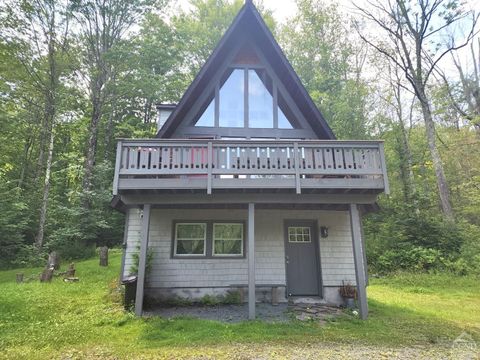 Single Family Residence in Hunter NY 111 Lake Road.jpg