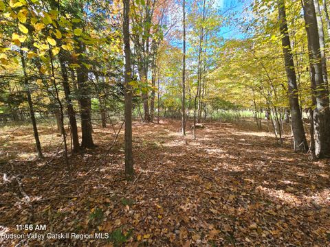 Unimproved Land in Windham NY 0 Circle Road.jpg