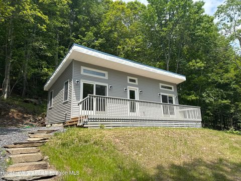 Single Family Residence in Fleischmanns NY 621 Big Red Kill Road.jpg