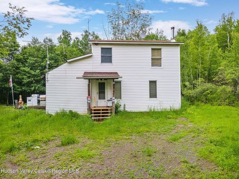 Single Family Residence in Conesville NY 222 Antonucci Drive.jpg