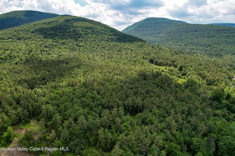 Unimproved Land in West Kill NY 1604 Spruceton Road.jpg