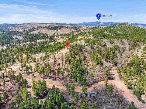  in Sturgis SD Lot 1 Tract A Other.jpg