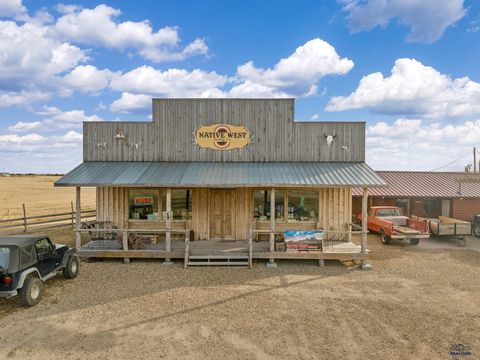  in Interior SD 251 Hwy 44.jpg