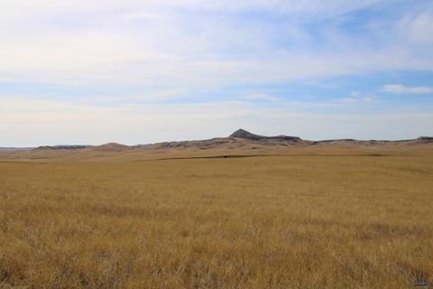 Farm in Caputa SD Parcel #33 Cisco Ln.jpg