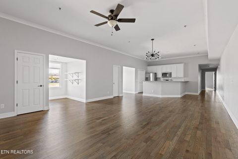 Condominium in Ooltewah TN 9298 Apison Pike #204.jpg