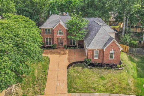 Single Family Residence in Cordova TN 8917 RIVER SOUND DR.jpg
