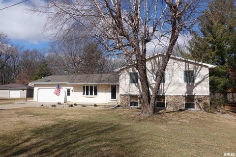 Single Family Residence in Wataga IL 131 Northland Acres Street.jpg