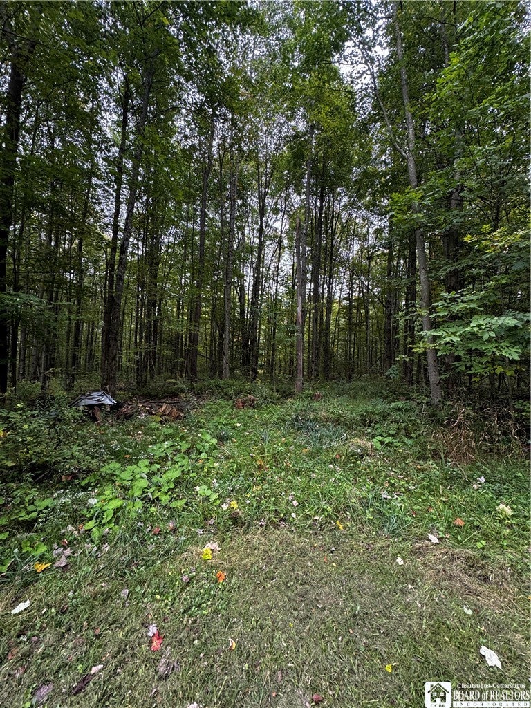 549 S Main St, Jamestown, NY 14701 photo