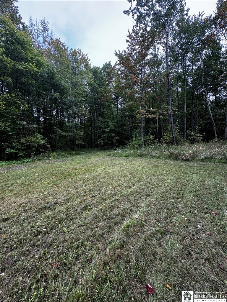 549 S Main St, Jamestown, NY 14701 photo