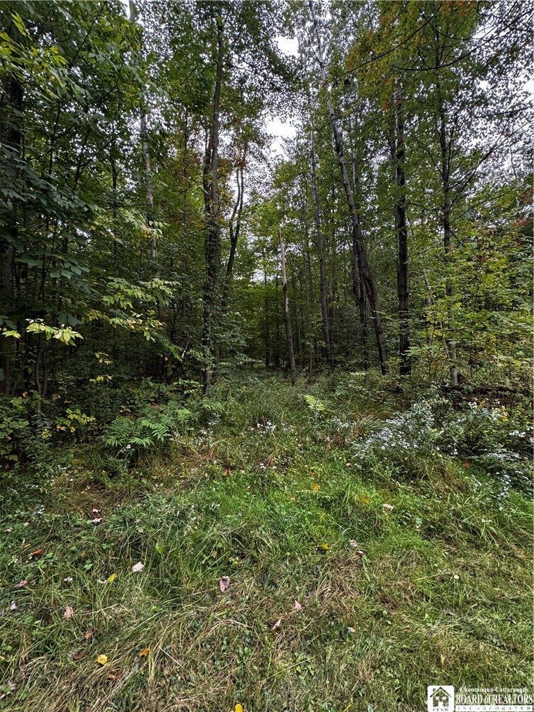 549 S Main St, Jamestown, NY 14701 photo