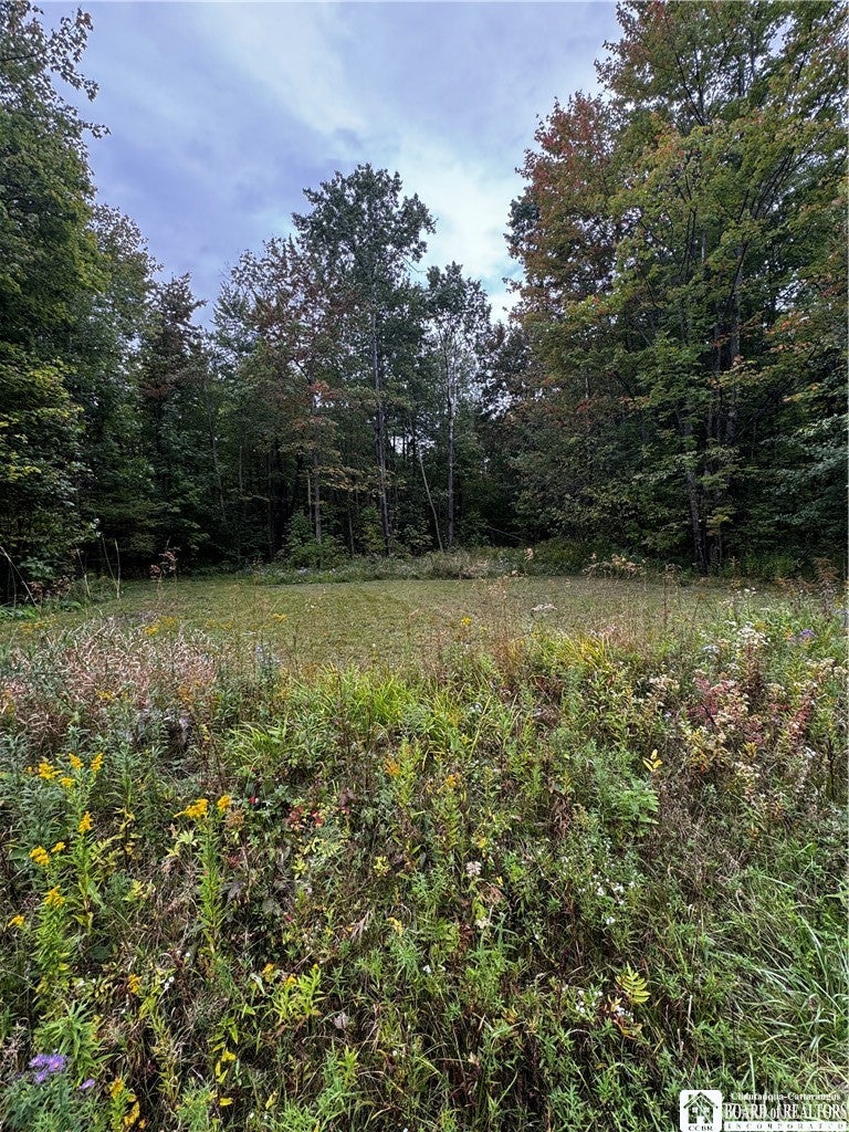 549 S Main St, Jamestown, NY 14701 photo