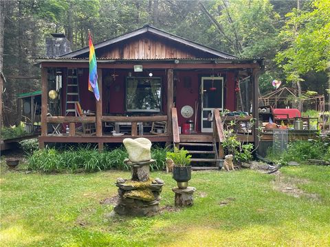 Single Family Residence in Andes NY 367 Rainbow Hill Road.jpg