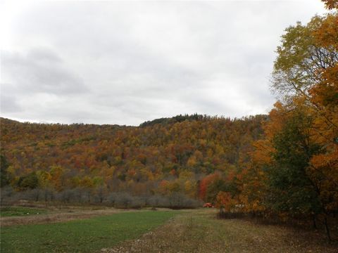 Farm in Hamden NY Gregory Hollow Road.jpg