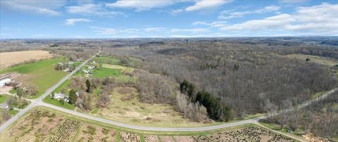 Agriculture in Marion NY 3633 Warner Rd Road.jpg