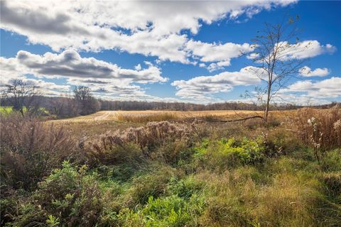 Farm in Rush NY Rush Scottsville Road.jpg