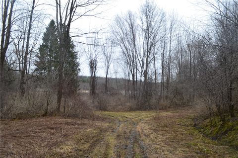 Cabin in Eaton NY 1377 Vrolyk Road.jpg