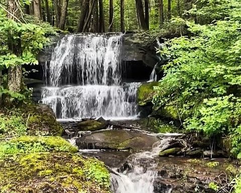  in Margaretville NY Bragg Hollow Road.jpg