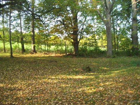 Single Family Residence in Madison NY 4117 Augusta Road 13.jpg