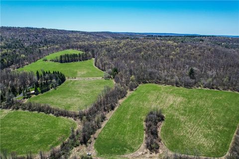 Farm in Erieville NY 00 Hardscrabble Road.jpg