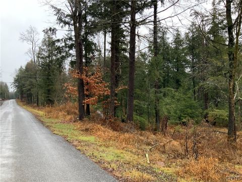  in Cleveland NY 768 Center Street.jpg