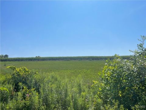 Agriculture in Rome NY 5778 Rock Road.jpg