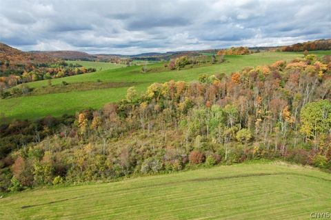 Agriculture in Earlville NY 5073 S Lebanon Road.jpg