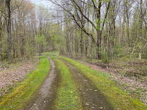  in Camden NY Lot #9 Lost Ridge Road #9.jpg