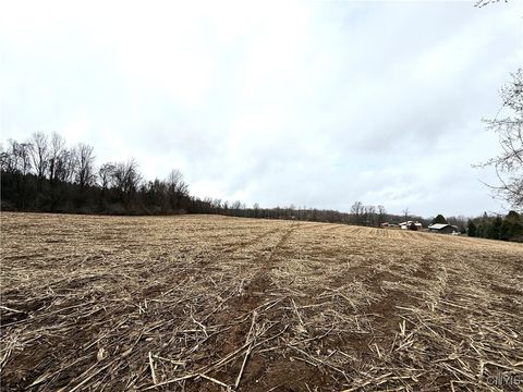 Farm in Oriskany Falls NY Sayer-Huth Road.jpg