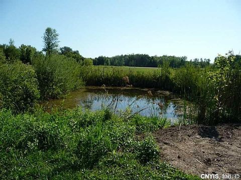 Unimproved Land in Canastota NY 0 Route 13.jpg