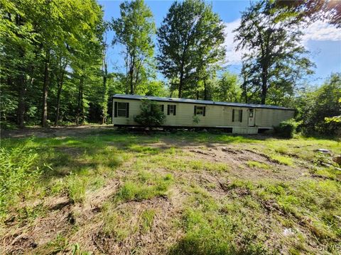 Manufactured On Land in Cleveland NY 5 Beach Road.jpg