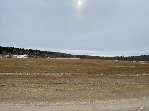 Farm in Hermon NY Chub Lake Road.jpg